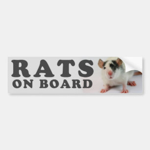 (Cute) Ratten man board Autoaufkleber