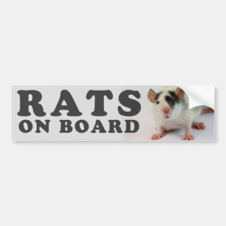 (Cute) Ratten man board Autoaufkleber