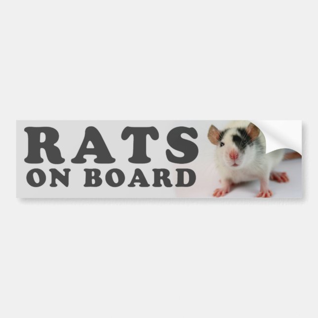 (Cute) Ratten man board Autoaufkleber (Vorne)