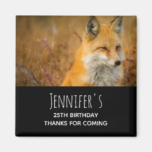 Cute Red Fox Wilderness Nature Fotograf Magnet