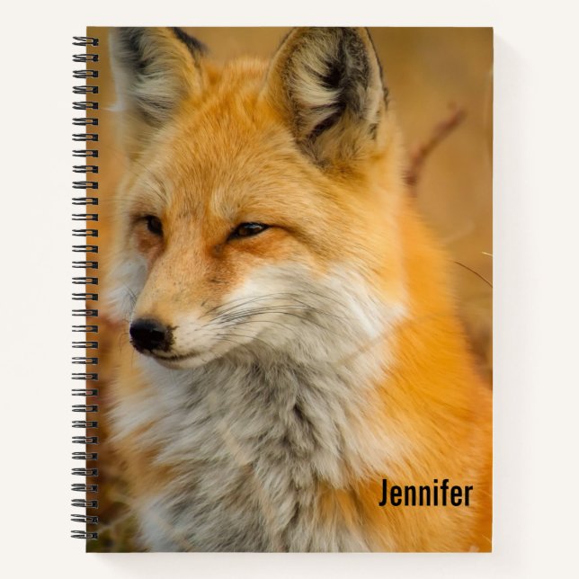Cute Red Fox Wilderness Nature Fotograf Notizbuch (Vorderseite)