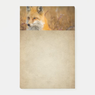 Cute Red Fox Wilderness Nature Fotograf Post-it Klebezettel