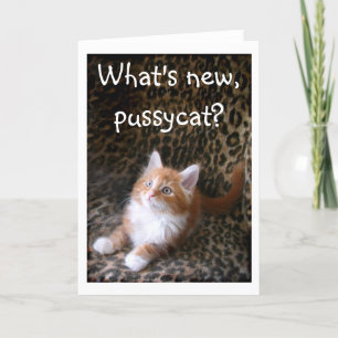 Cute red kitten on leopard Print Greeting card Karte