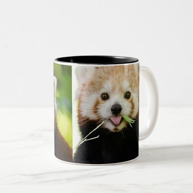 Cute Red Panda Portrait Zweifarbige Tasse (VorderseiteRechts)