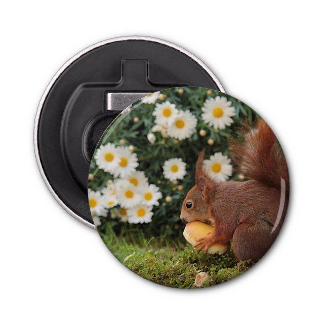 Cute Red Squirrel and Daisies Photo Flaschenöffner (Vorderseite)