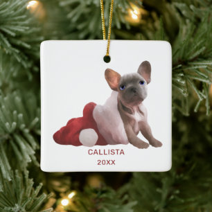 Cute Red White French Bulldog Santa Hat Christmas Keramikornament