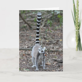Cute Ring-Tailed Lemur Photo Karte