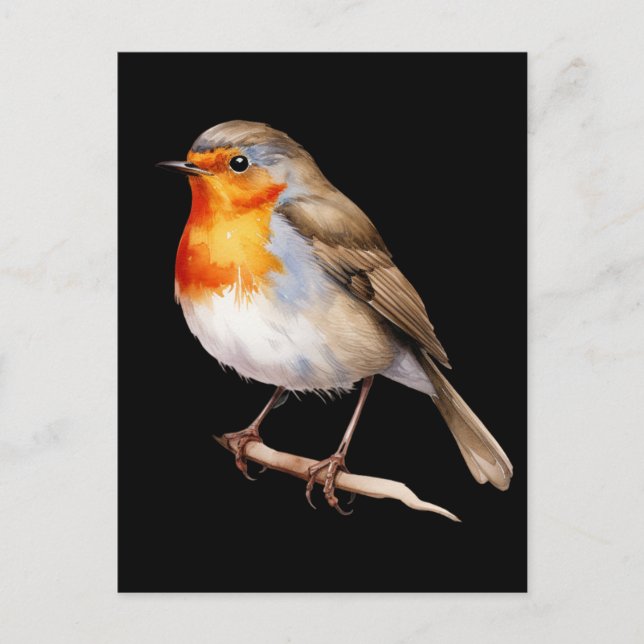 Cute Robin Postkarte (Vorderseite)