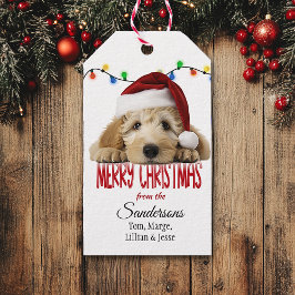 Cute Santa Goldendoodle Christmas Geschenkanhänger