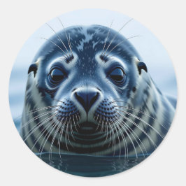 Cute Seal Close up Runder Aufkleber
