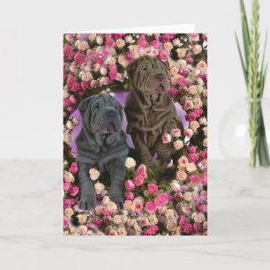 Cute Shar pei puppies in a bed of roses Feiertagskarte