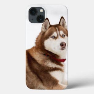 Cute Siberian Husky Portrait Case-Mate iPhone Hülle