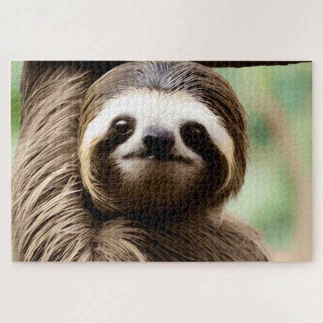 Cute sloth background puzzle (Horizontal)