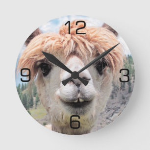 Cute Smiling Alpaca Photo Image Runde Wanduhr