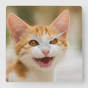 Cute Smiling Kitten Face Funny Cat Meow Photo Quadratische Wanduhr