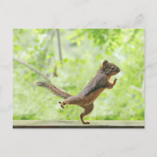 Cute Squirrel Doing Tai Chi Postkarte
