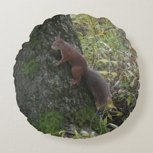 Cute Squirrel on Tree Trunk Round Pillow Rundes Kissen (Vorderseite)