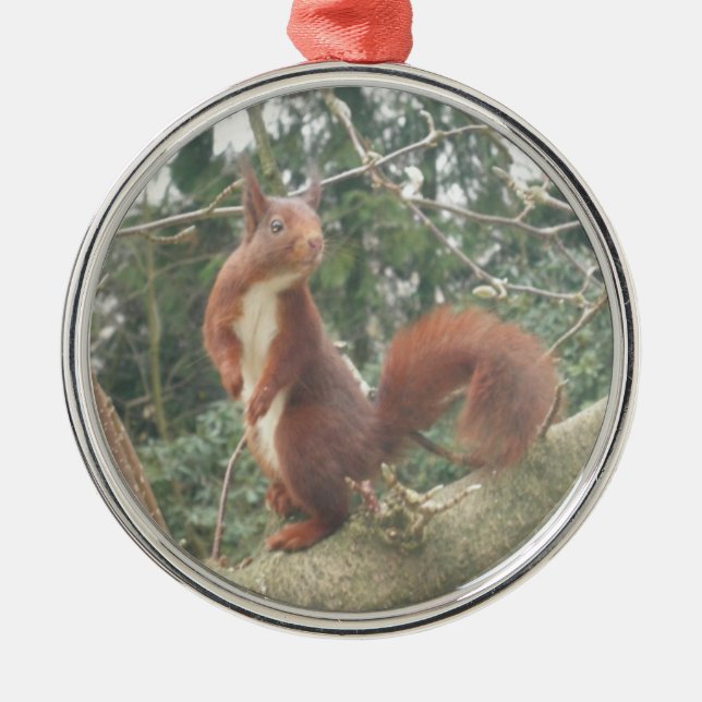 Cute Standing Squirrel Metal Ornament Aus Metall (Vorne)