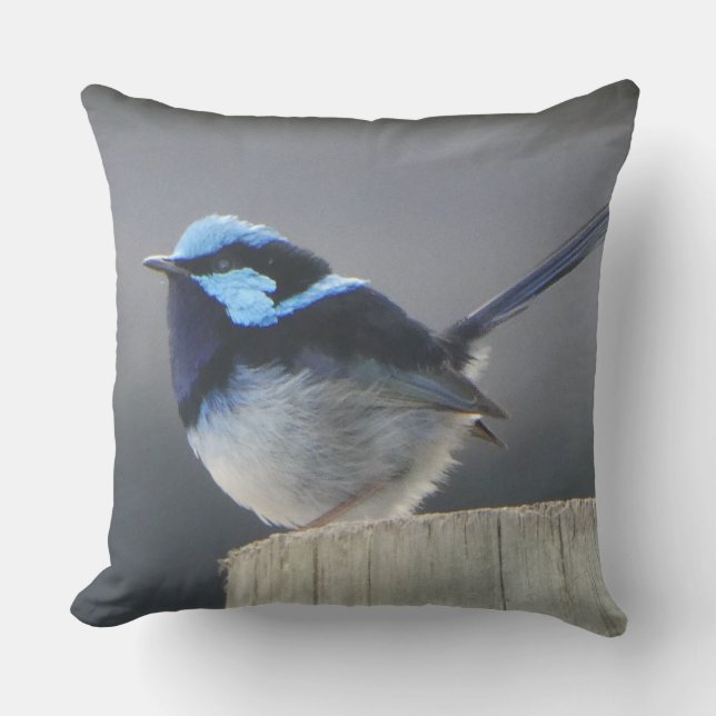 Cute Superb Fairywren Cushion Kissen (Vorderseite)
