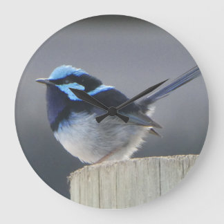 Cute Superb Fairywren Wall Clock Große Wanduhr