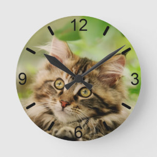 Cute Tabby Maine Coon Cat Kitten Fluffy Head Foto Runde Wanduhr