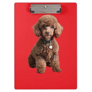 Cute Teacup Poodle Red Folder Klemmbrett