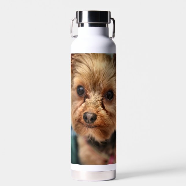 Cute Trinkflasche (Vorne)