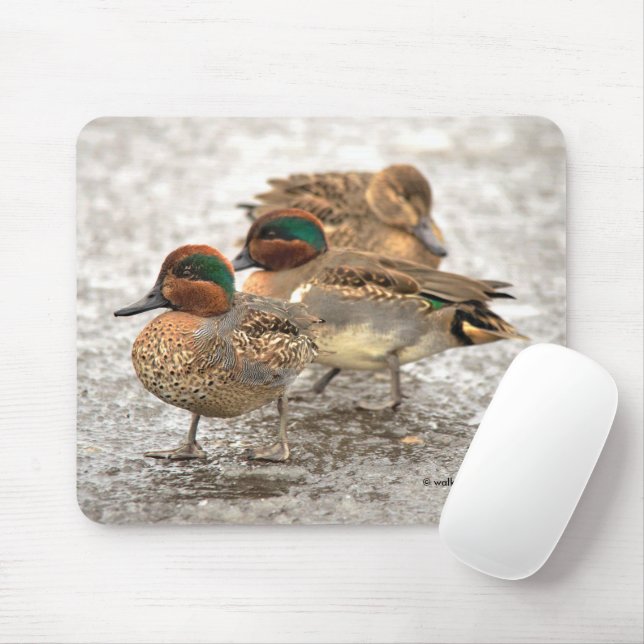 Cute Trio of Green-Winged Teals Ducks Mousepad (Mit Mouse)