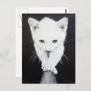 Cute white kitten Animal drawing art Cat lovers Postkarte