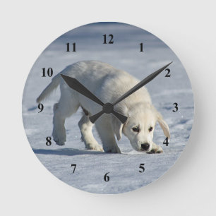 Cute White Puppy Snow Photo Runde Wanduhr