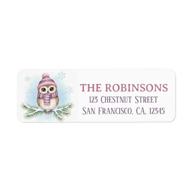 Cute Winter Owl Snow Return Address Label (Vorne)