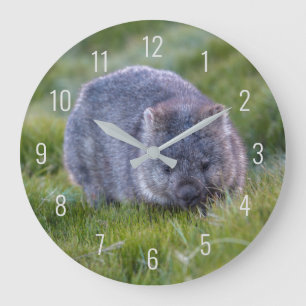 Cute Wombat Wildlife Animal Australia Green Große Wanduhr