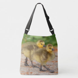Cuteness on Parade: Kanada Goose Goslings