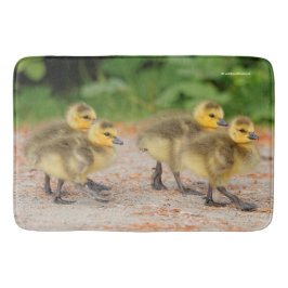Cuteness on Parade: Kanada Goose Goslings Badematte