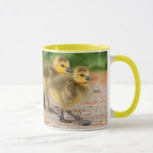 Cuteness on Parade: Kanada Goose Goslings Tasse