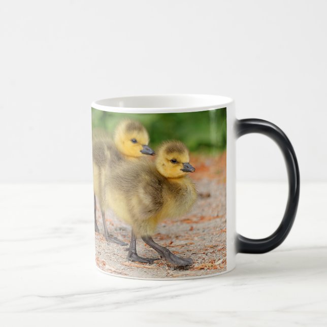 Cuteness on Parade: Kanada Goose Goslings Tasse (Rechts)
