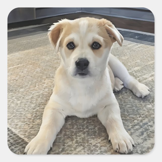 Cuteness Puppy Overload Aufkleber (Vorderseite)