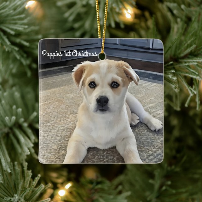 Cuteness Puppy Overload Ornament (Baum)