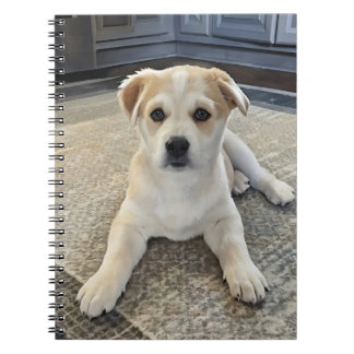 Cuteness Puppy Overload Spiral Foto Notebook Notizblock