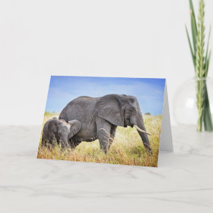 Cutest Baby Animals African Elephant & Mother Karte