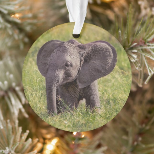 Cutest Baby Animals | Baby Elephant Kenya Africa Ornament (Baum)
