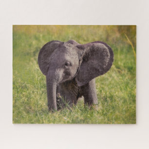 Cutest Baby Animals   Baby Elephant Kenya Africa Puzzle