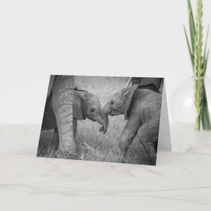 Cutest Baby Animals Baby Elephants Greeting Karte