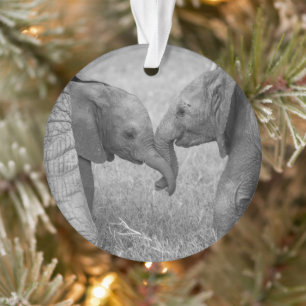 Cutest Baby Animals   Baby Elephants Greeting Ornament