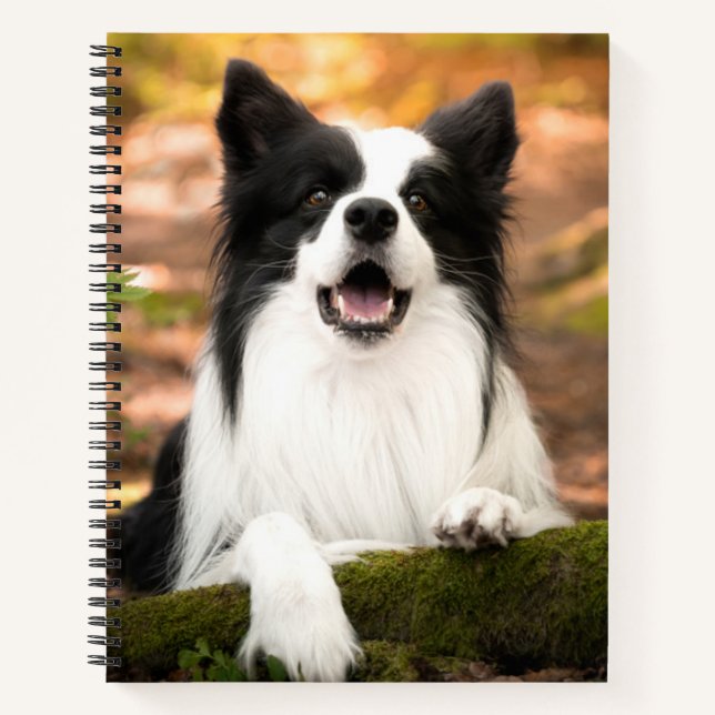 Cutest Baby Animals | Black & White Border Collie Notizbuch (Vorderseite)