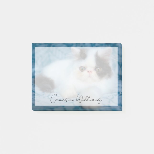 Cutest Baby Animals | Black & White Kitten Post-it Klebezettel (Vorderseite)