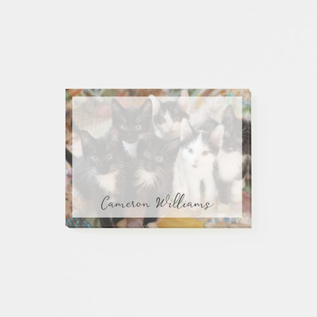 Cutest Baby Animals | Black & White Kittens Post-it Klebezettel (Vorderseite)
