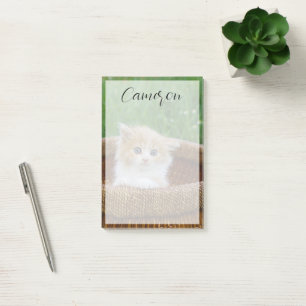Cutest Baby Animals Blue Eyed Kitten Post-it Klebezettel