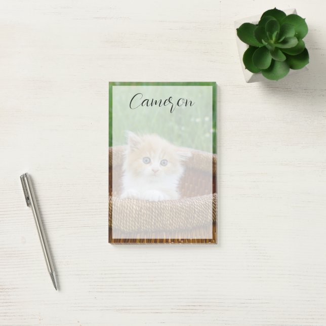 Cutest Baby Animals | Blue Eyed Kitten Post-it Klebezettel (Büro)