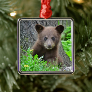 Cutest Baby Animals   Brown Bear Cub Ornament Aus Metall